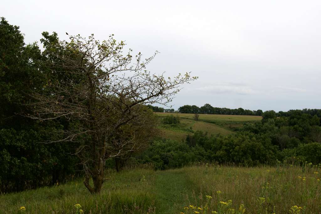 Kilen Woods State Park Campground