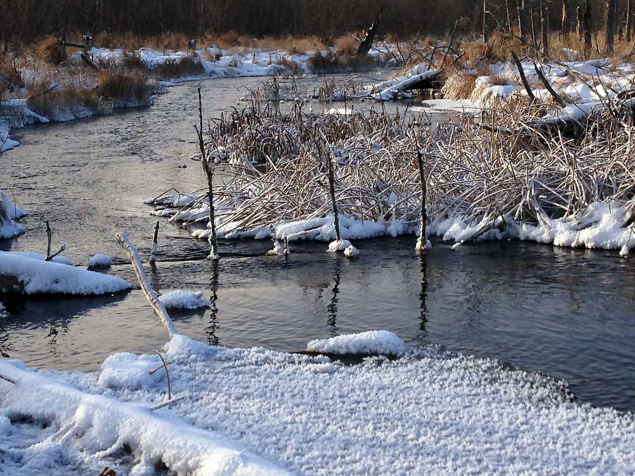 LaSalle Lake Campground