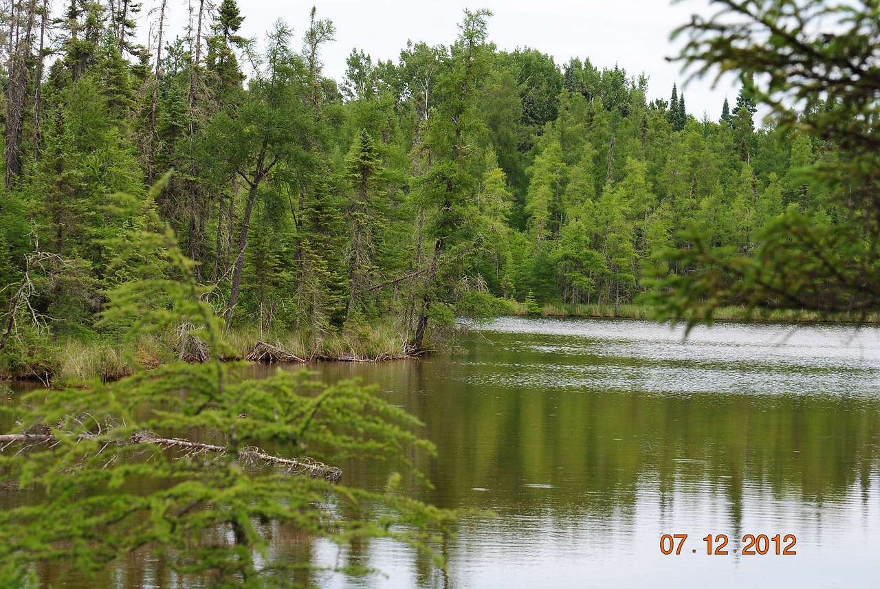 Lake Bemidji State Park