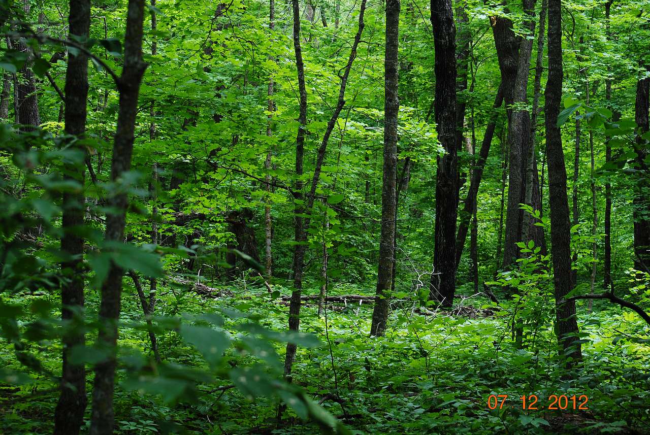 Lake Bemidji State Park