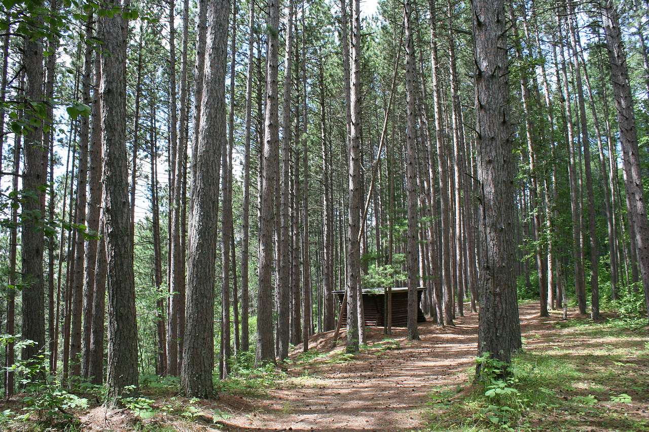 Side Lake Campground