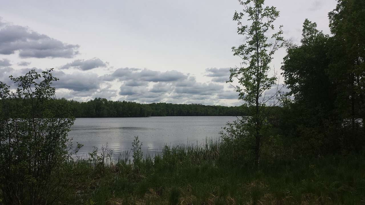 Moose Lake State Park