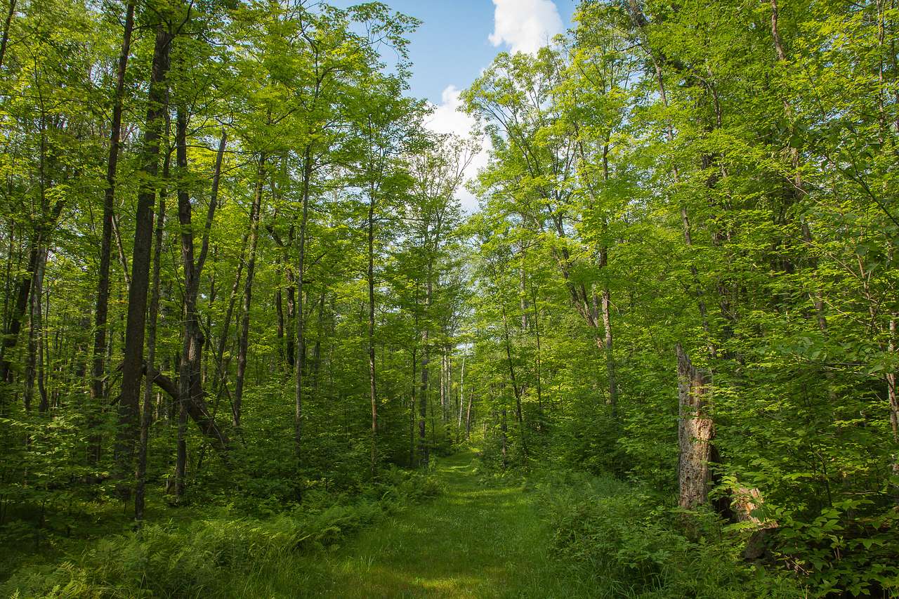 Savanna Portage State Park