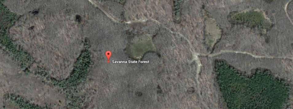 Savanna State Forest