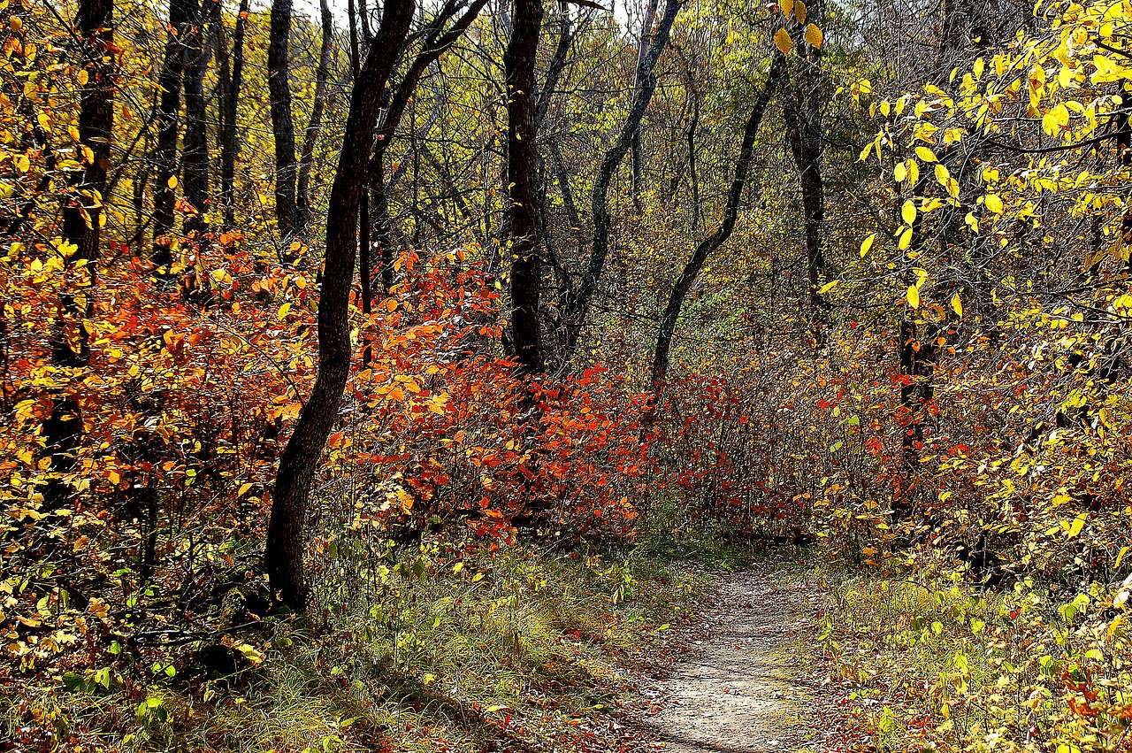 Sibley State Park
