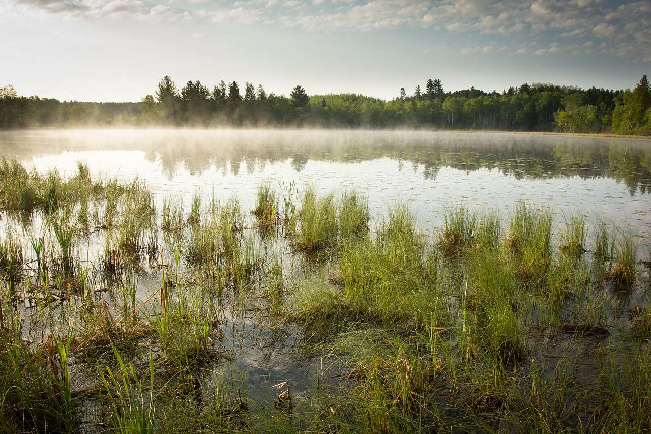 Two Inlets State Forest