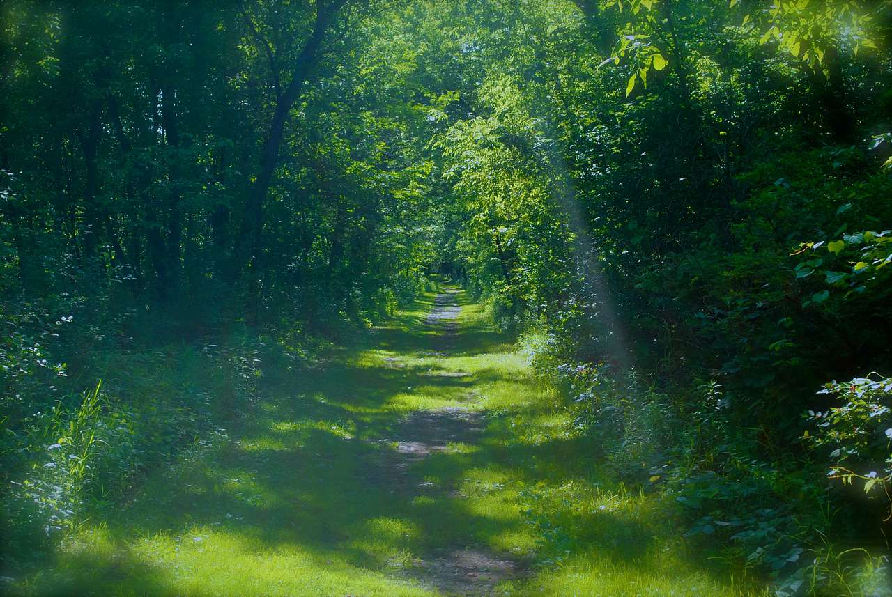 Wild River State Park Campground