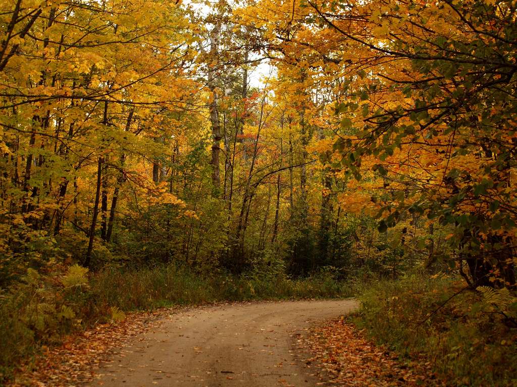 Knutson Dam Campground