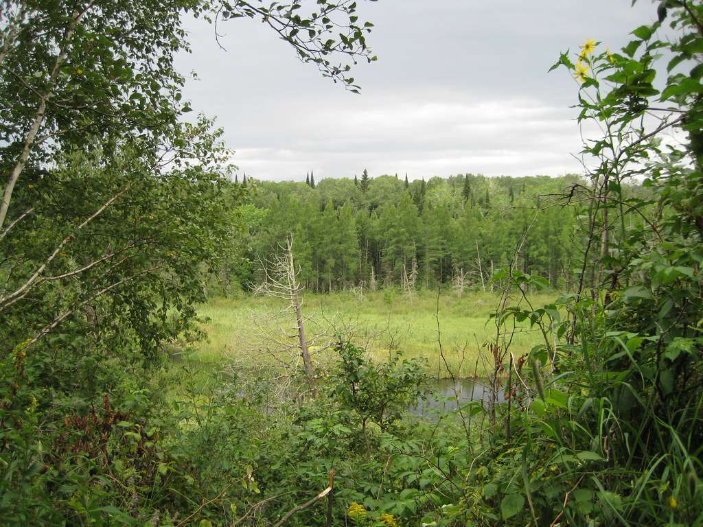 Star Island Trail