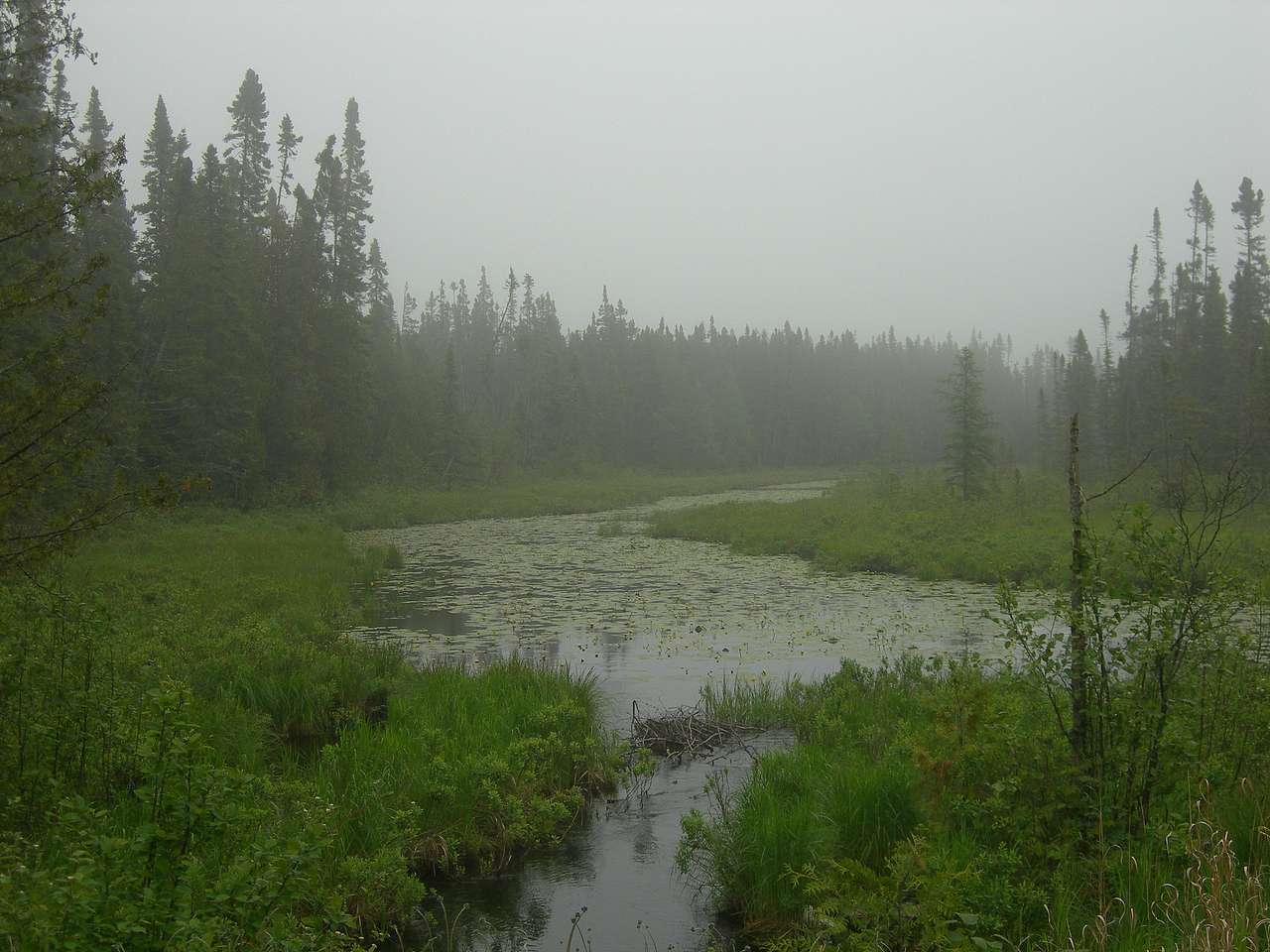 Harriet Lake Rustic Campground