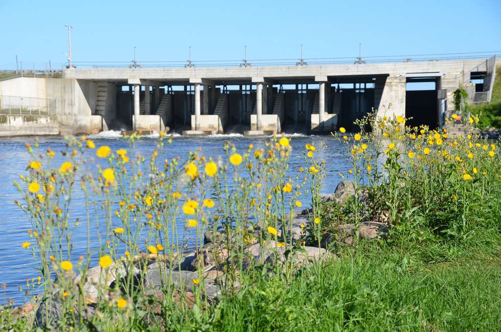 Winnie Dam Campground