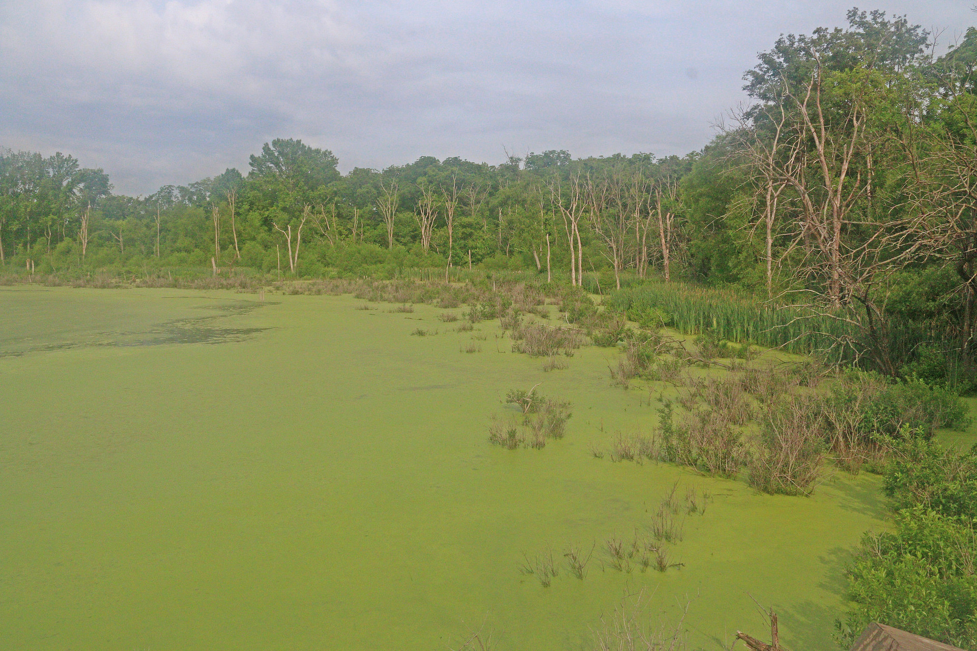 Beaver Dam State Park