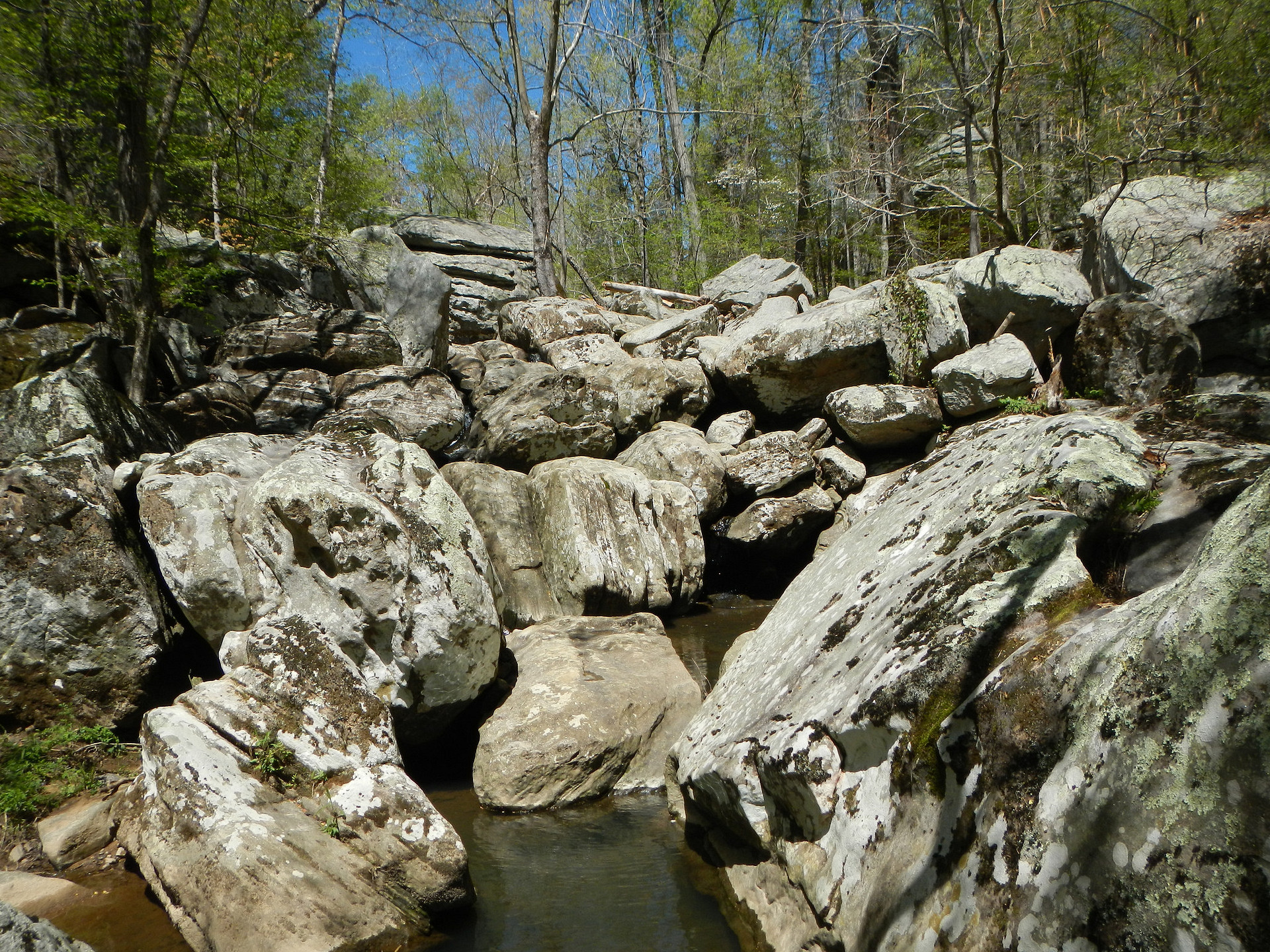 Dixon Springs State Park