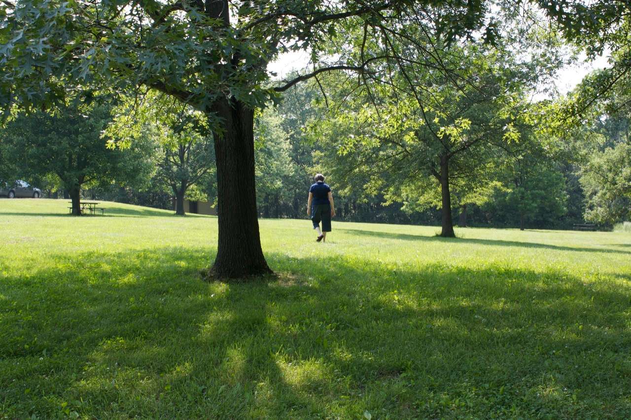 Jubilee College State Park
