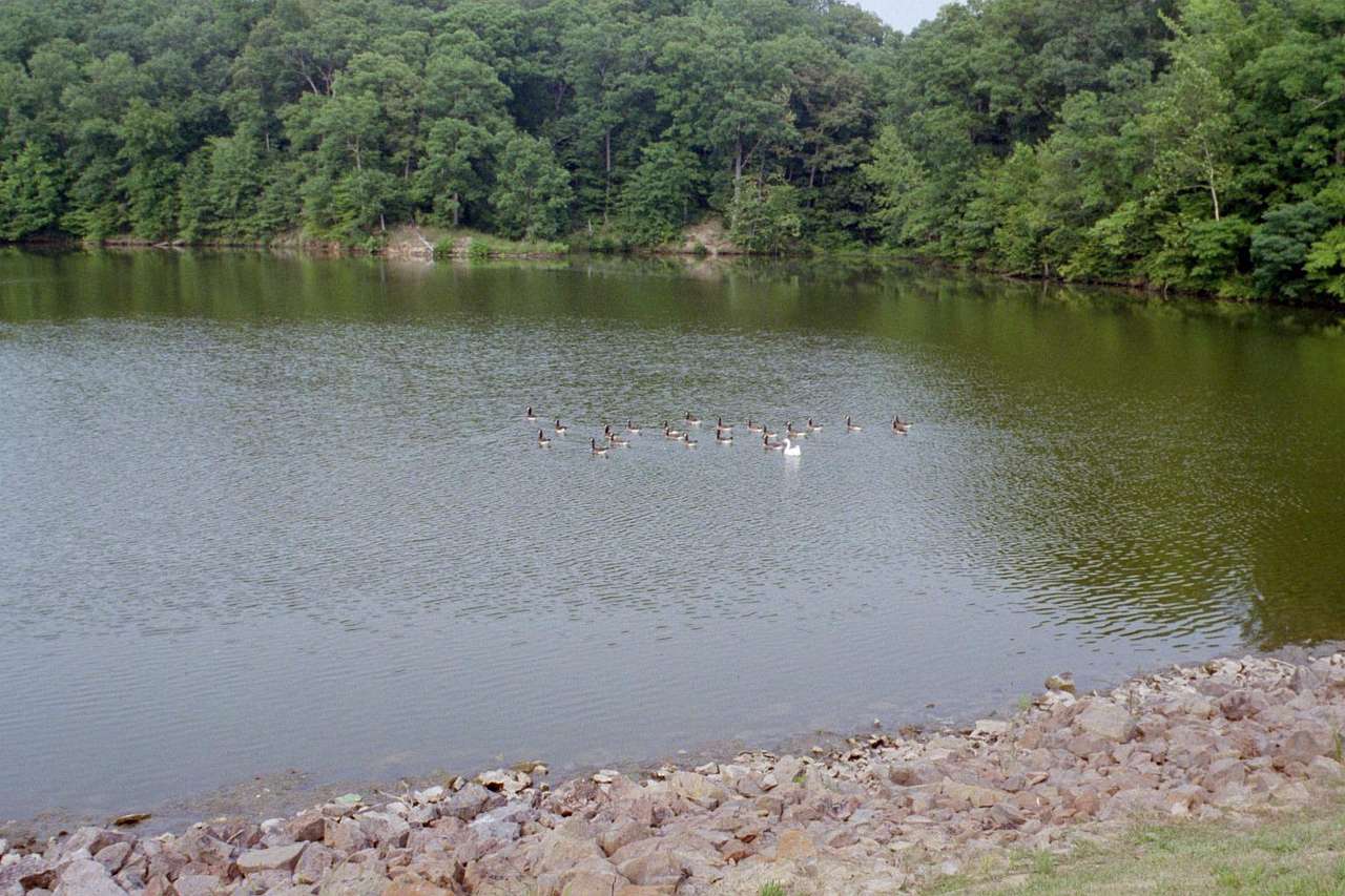 Lake Murphysboro Campground