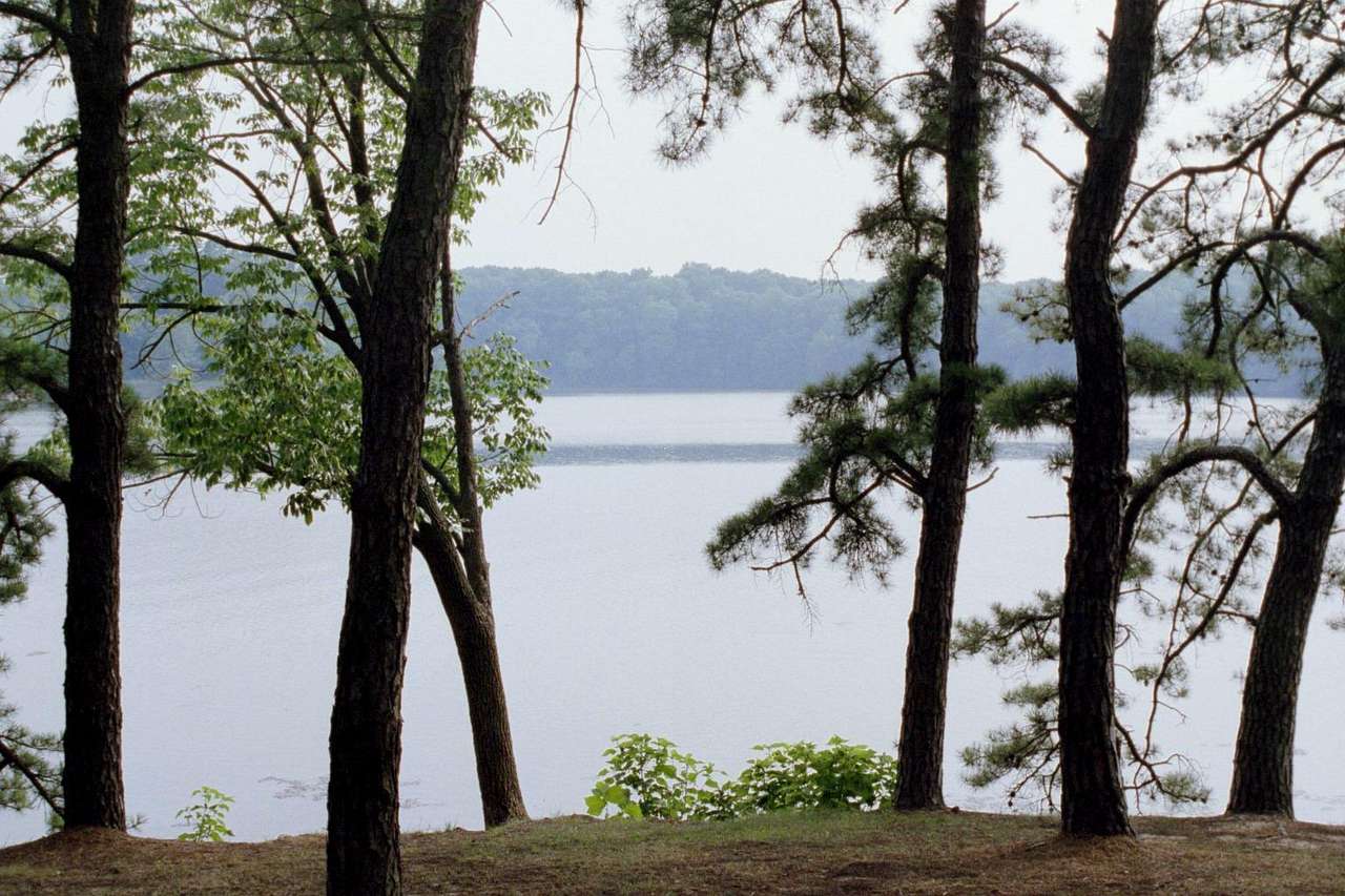 Lake Murphysboro Campground