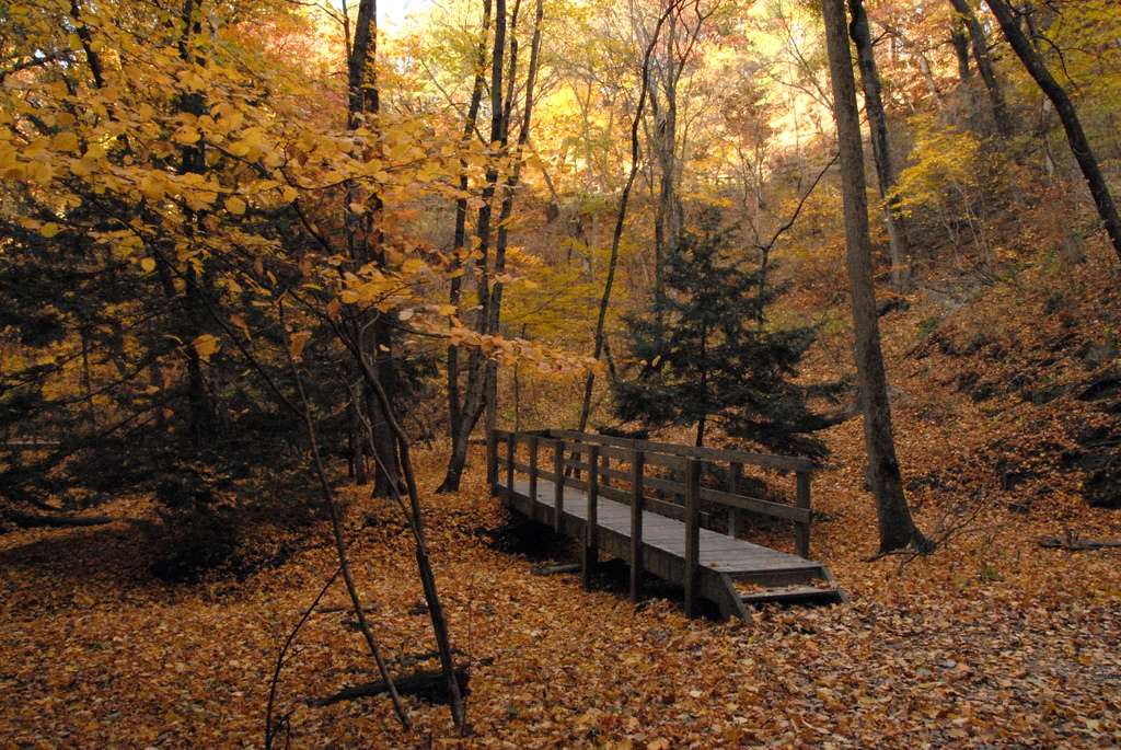 Starved Rock Campground