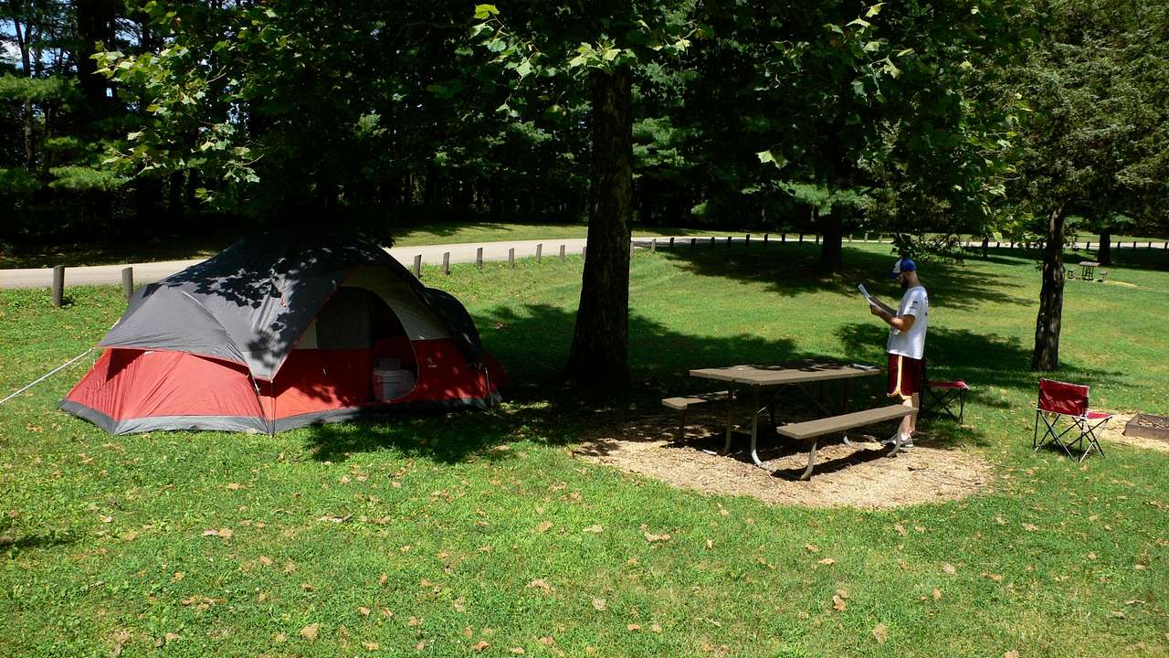 White Pines Forest Campground