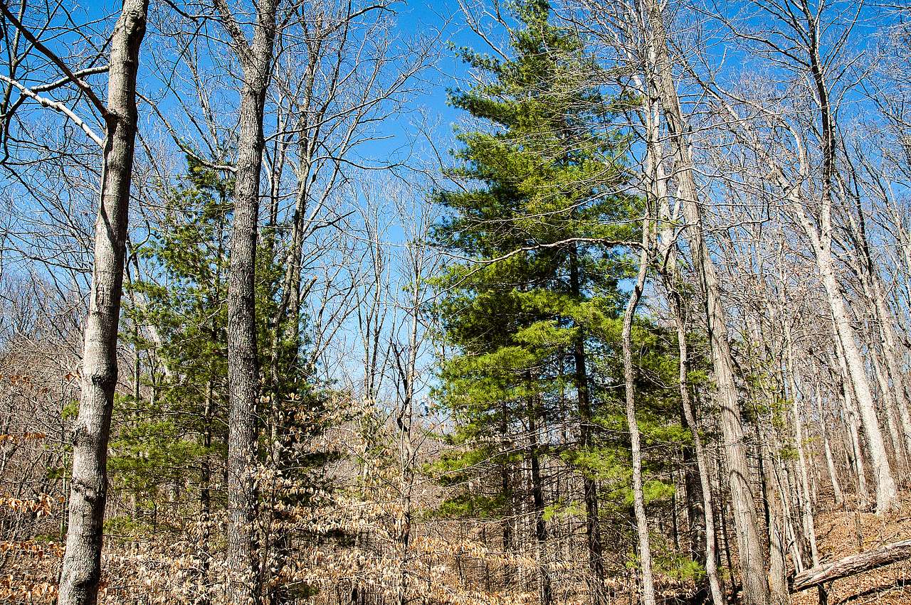 Little Salt Creek Group Site