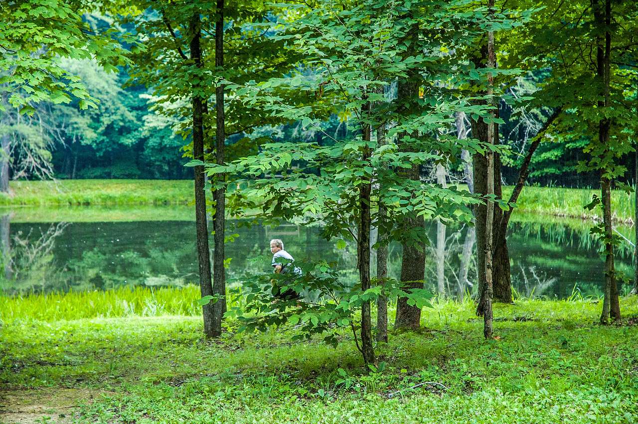 Owen-Putnam State Forest