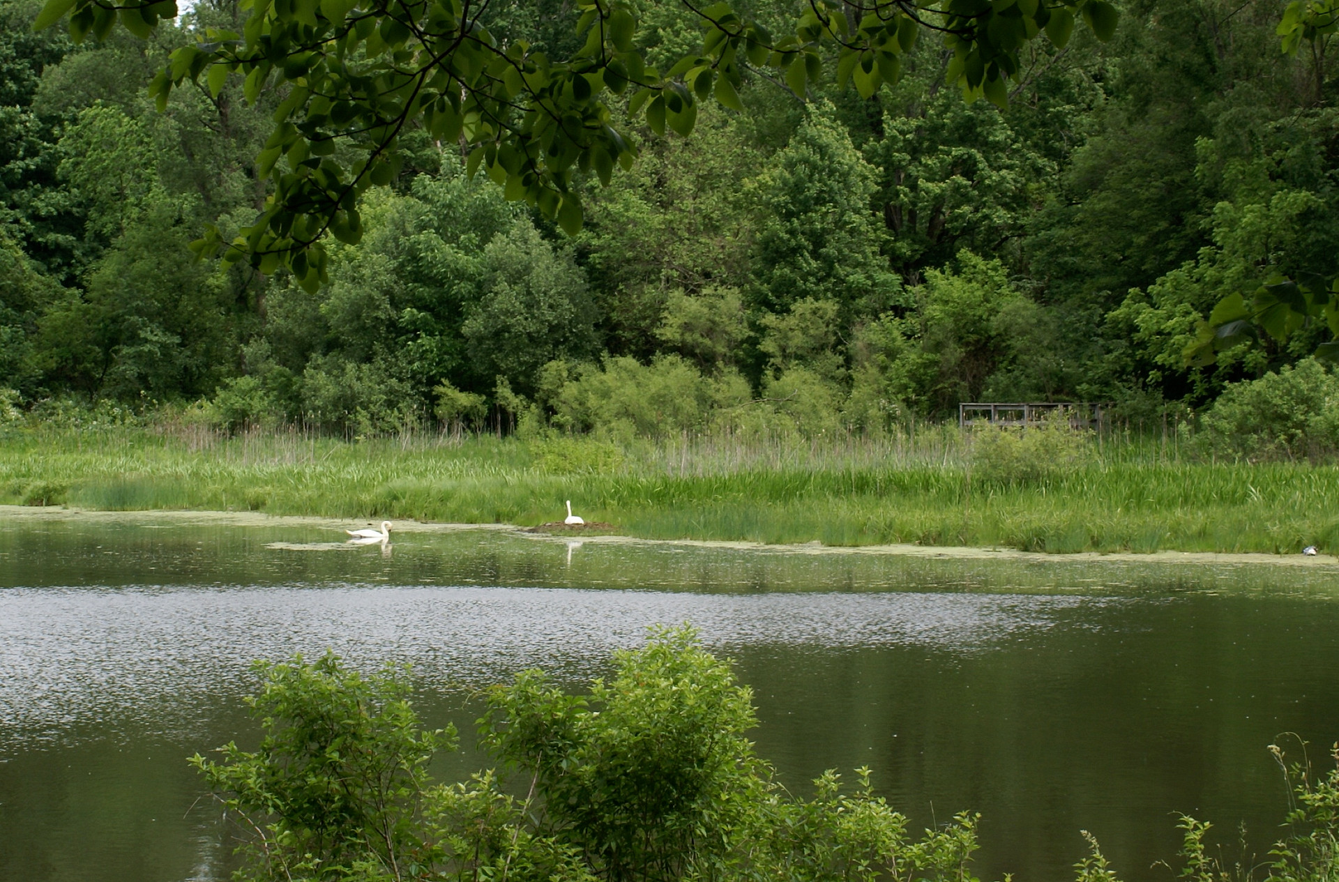 Potato Creek Campground