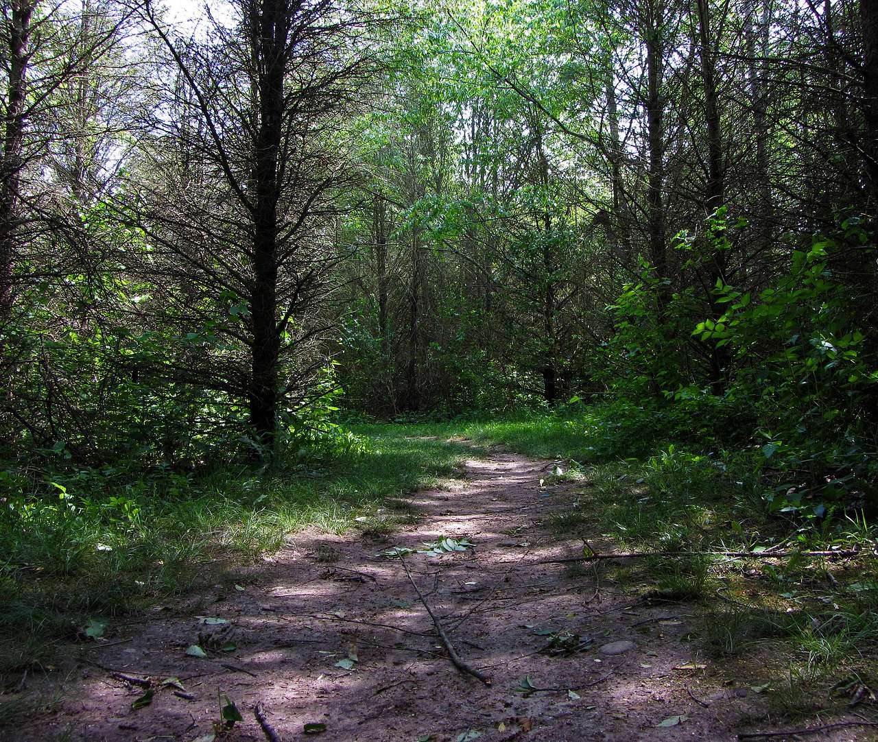 Prophetstown Campground