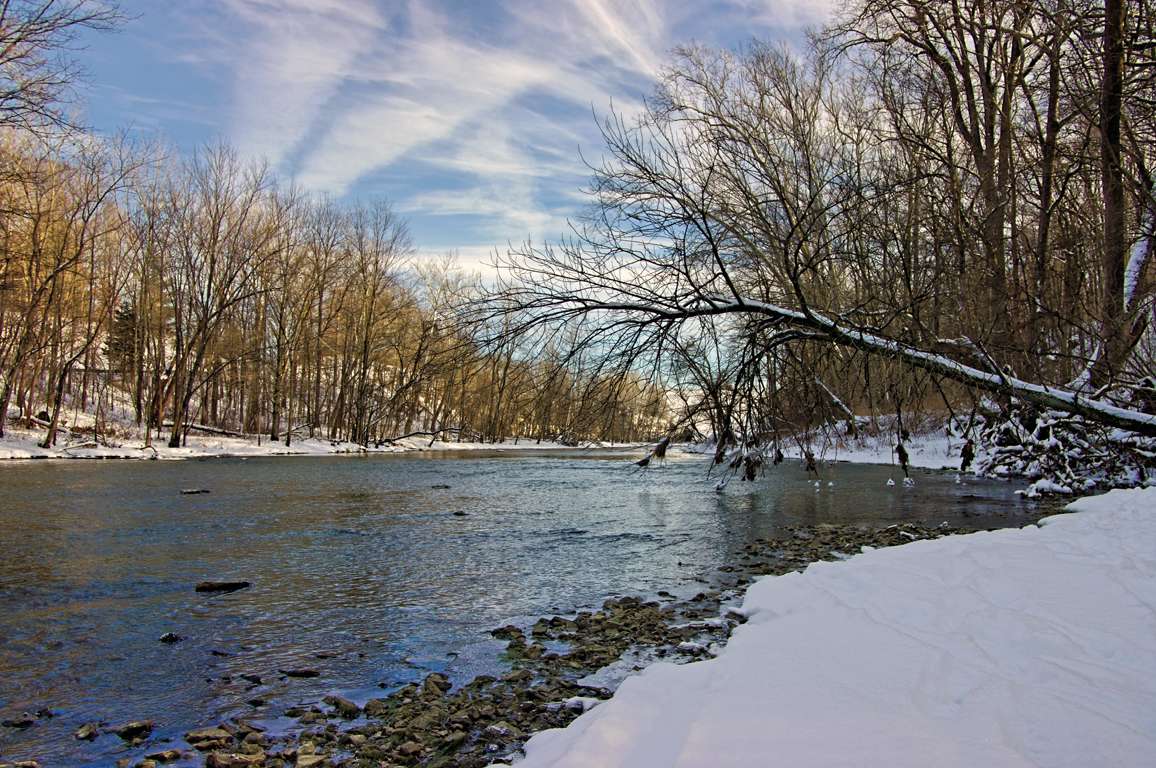 Salamonie River State Forest