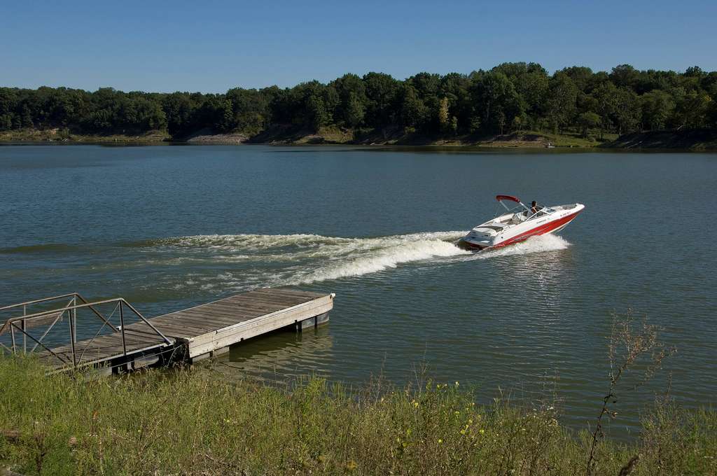 Salamonie River State Forest
