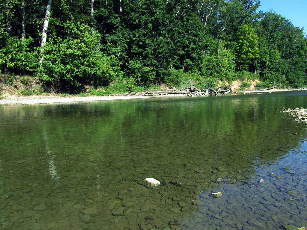 Shades Campground