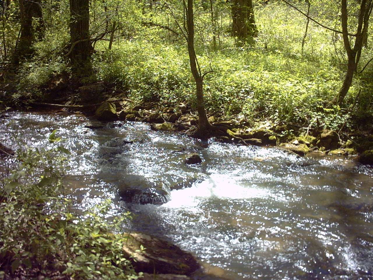 Spring Mill Campground