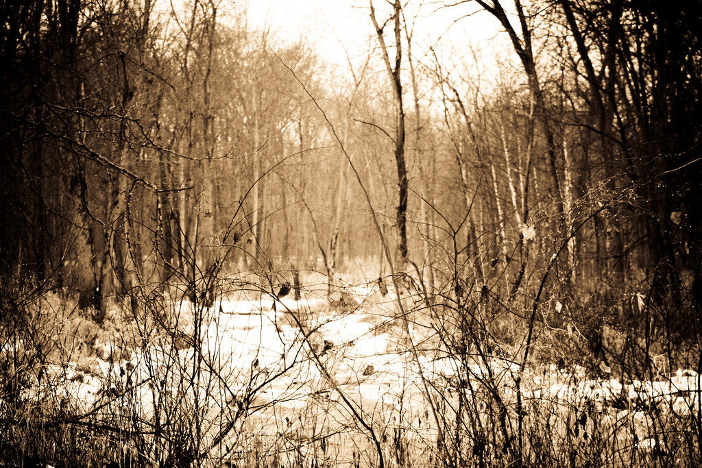 Tippecanoe River Campground