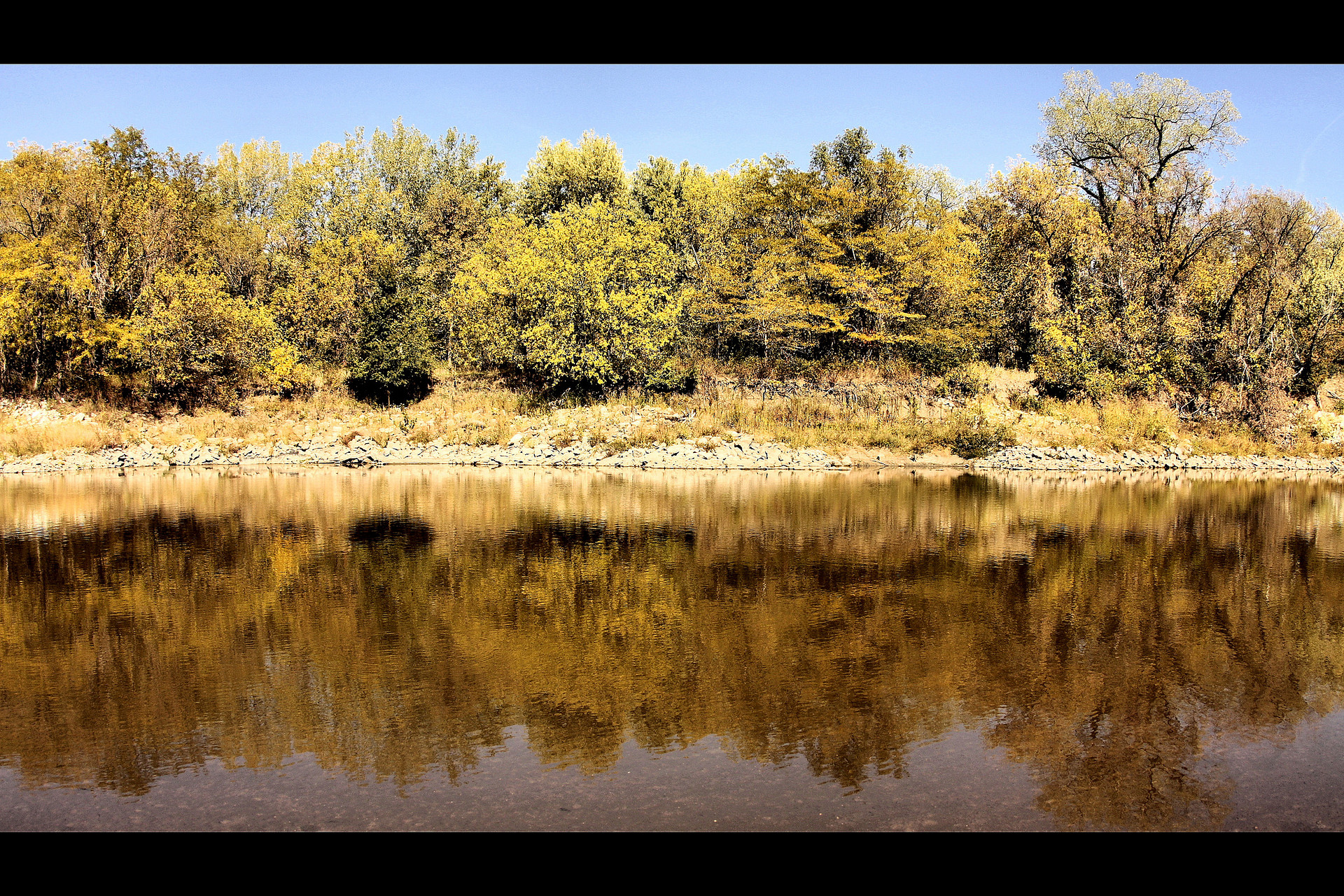 Walnut Woods State Park