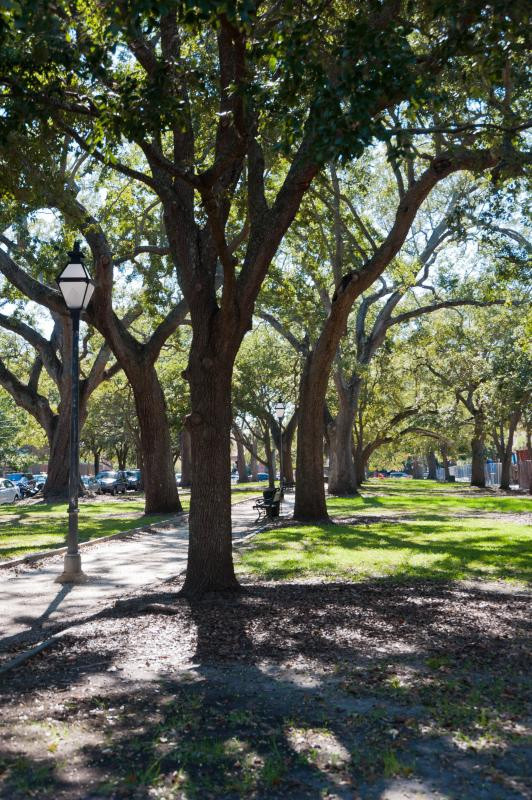 Aiken Campground