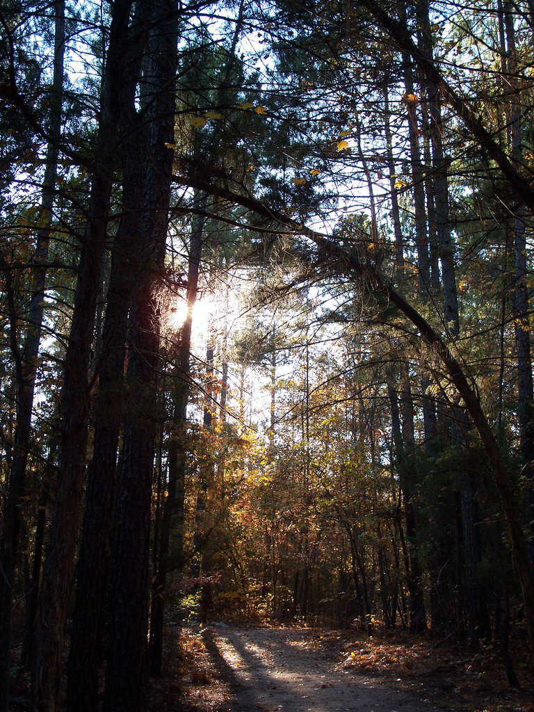 Baker Creek State Park