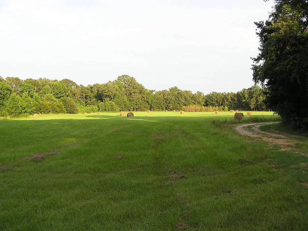 Colleton Campground