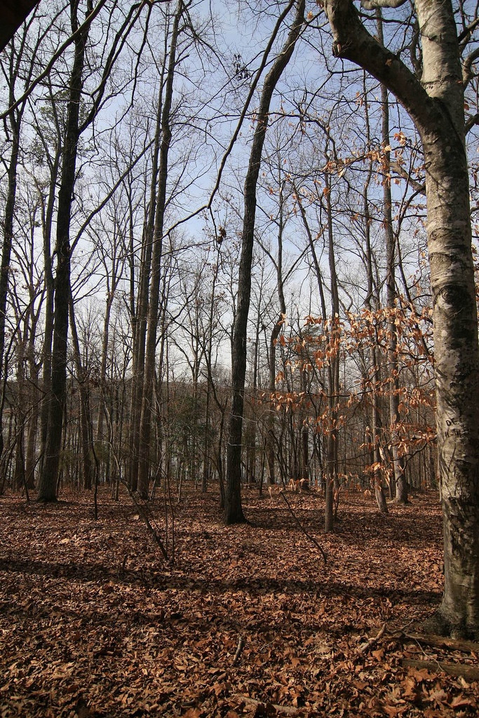 Croft State Park