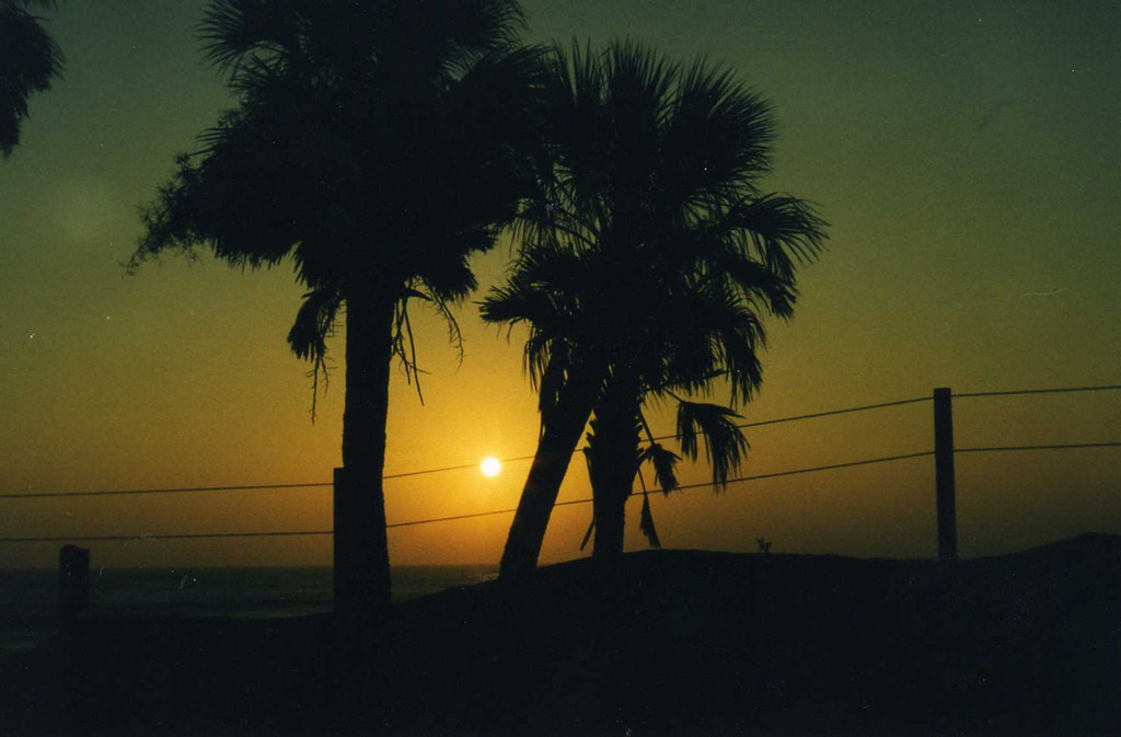 Edisto Beach Campground