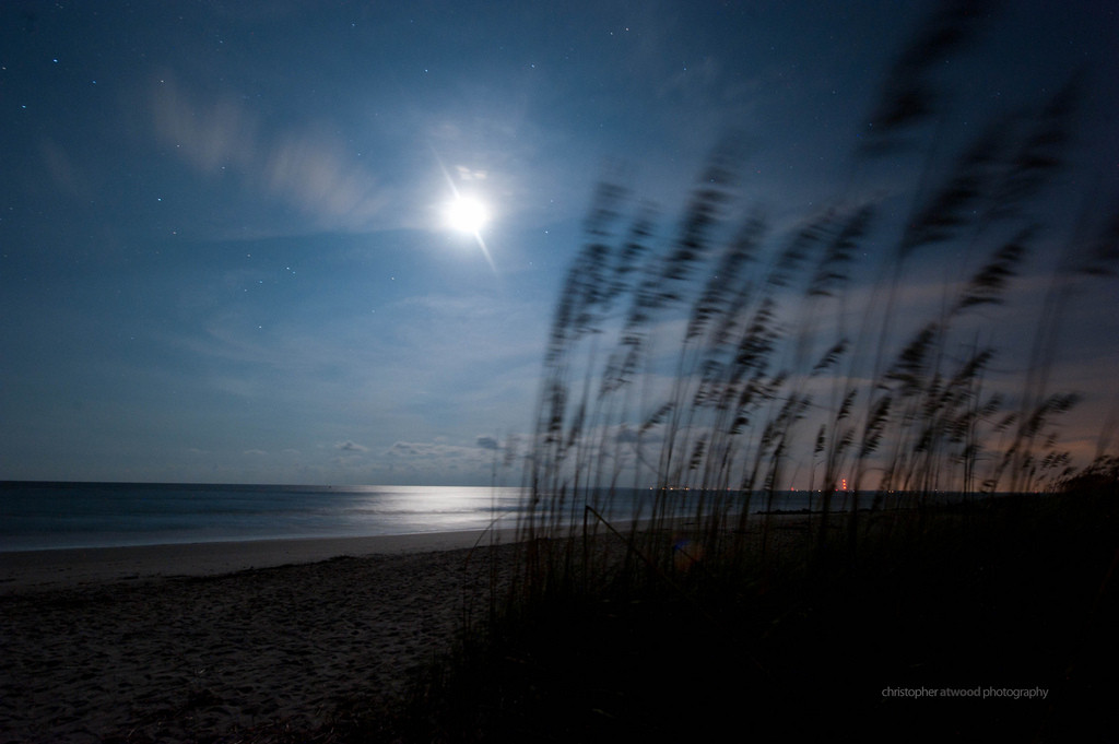 Edisto Beach Campground