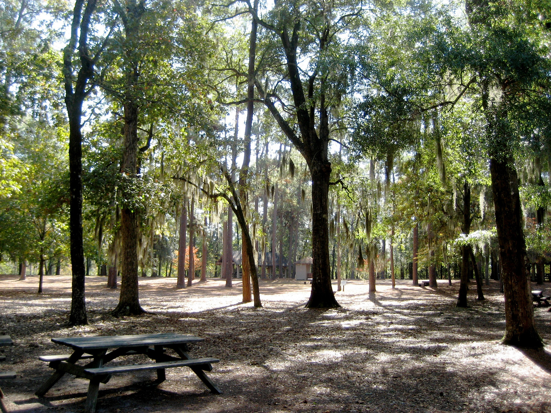 Lee State Park