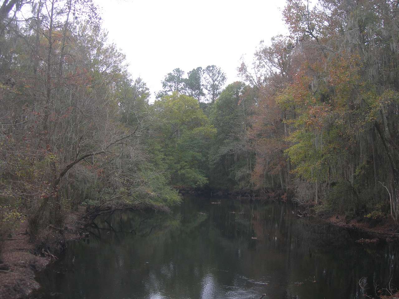 Little Pee Dee Campground