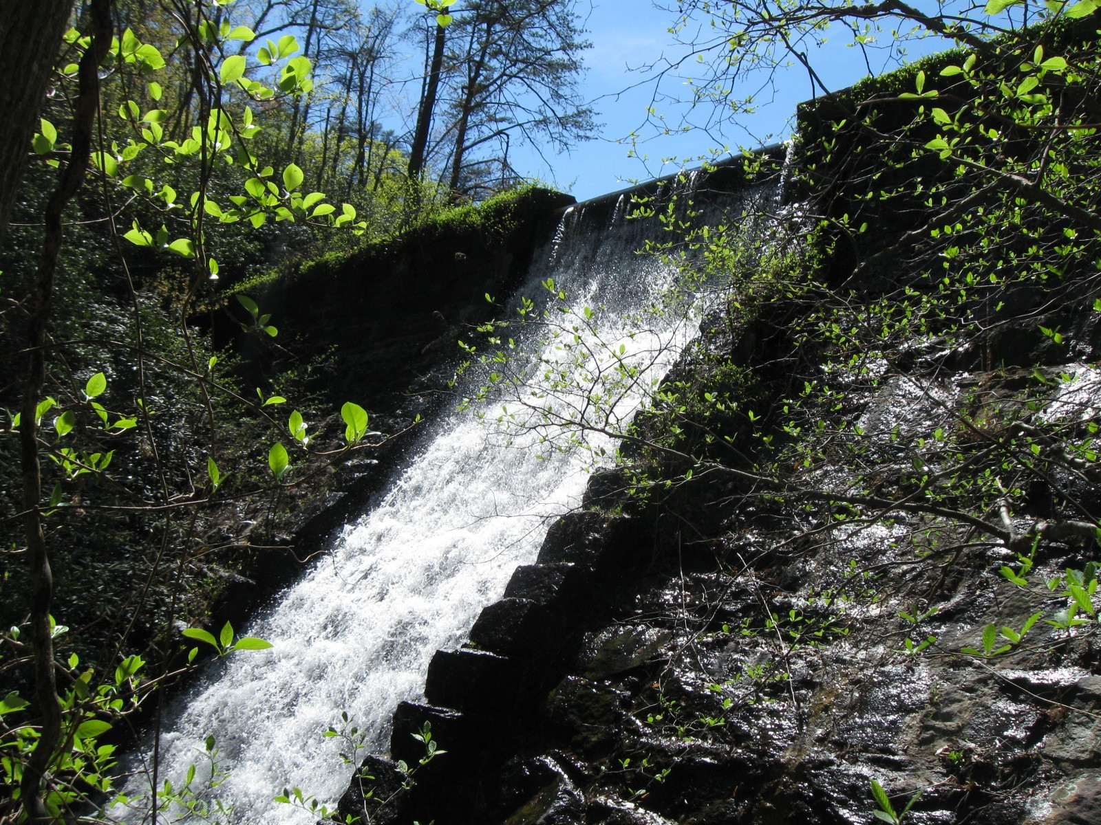Paris Mountain State Park