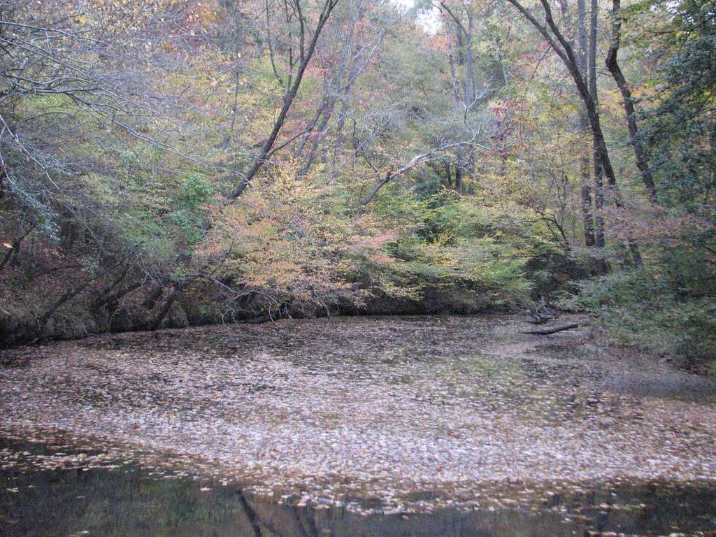 Medoc Mountain Campground