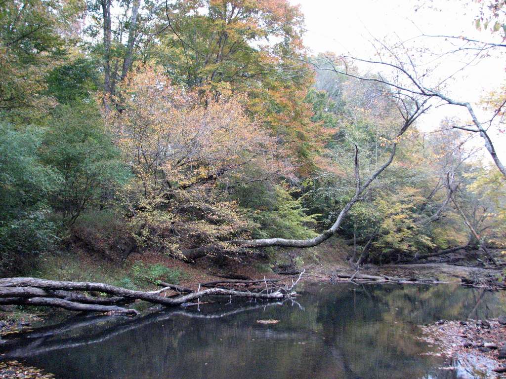 Medoc Mountain Campground