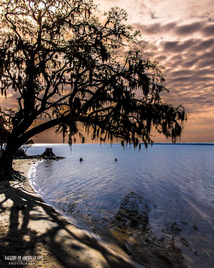 Goose Creek Campground