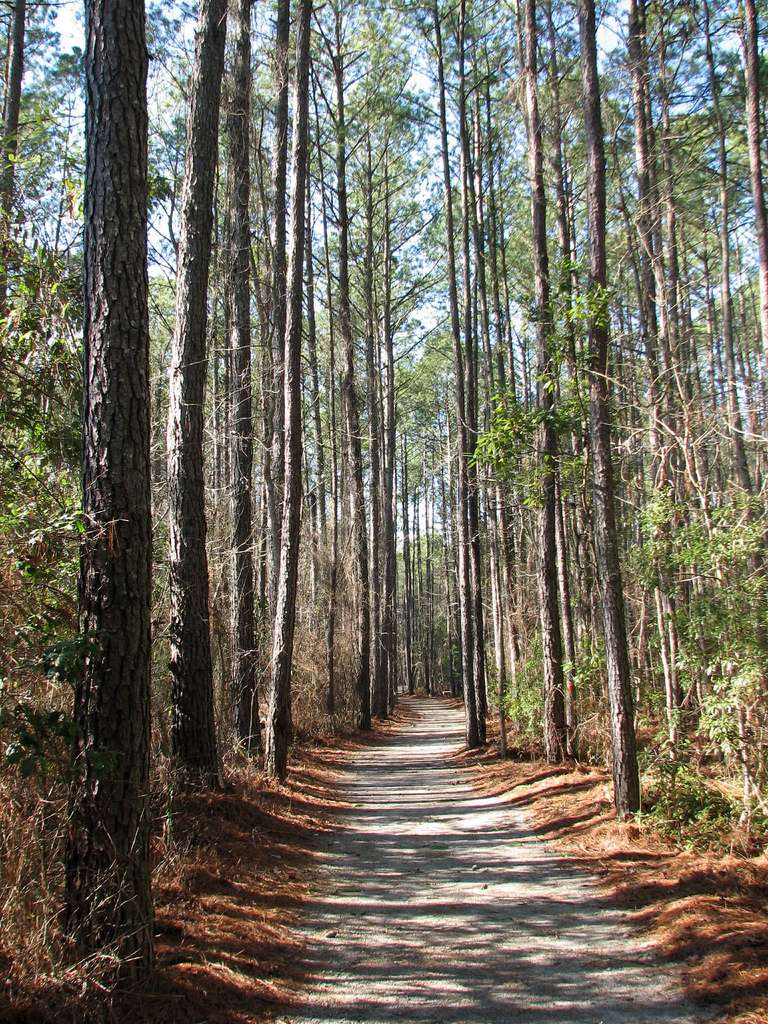 Goose Creek Campground