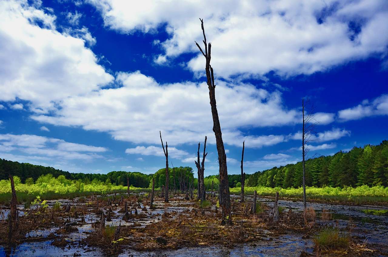 Caledon State Park