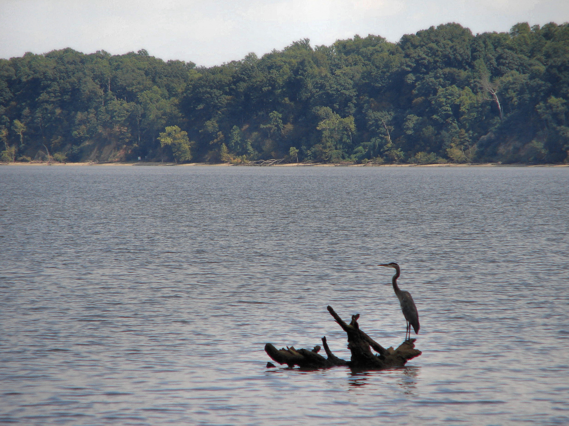 Chippokes Plantation State Park