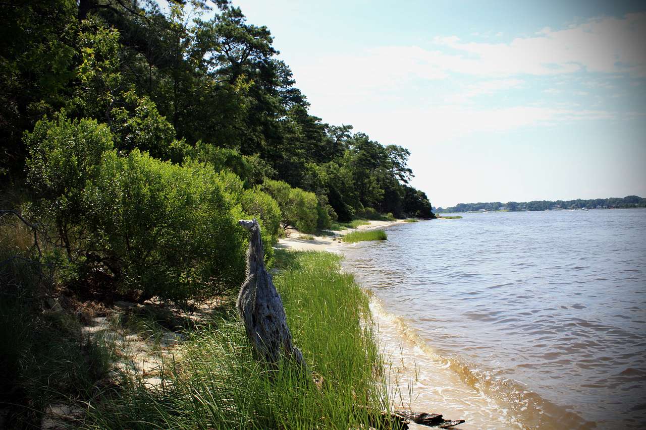 First Landing State Park Campground