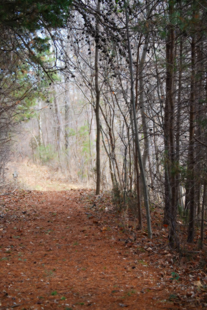 Smith Mountain Lake State Park