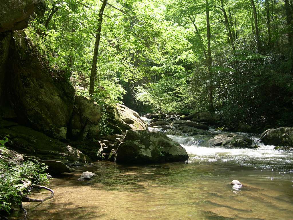 Spivey Cove Campground